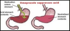 Omeprazole suppresses acid in the stomach