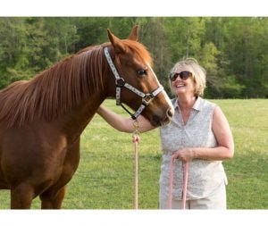 Horse owners may diagnose by trial and error treatment regime