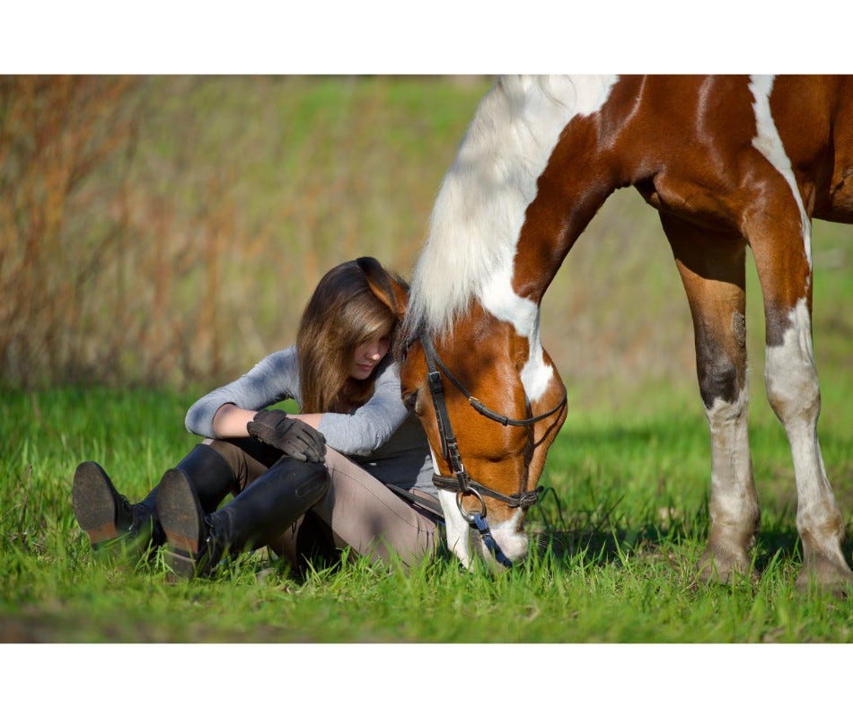 Summer is the perfect time for the horse owner to showcase their horse and their riding skills.