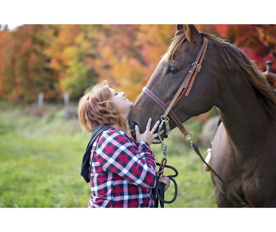 Omeprazole Tablets for treatment of ulcers in Horses