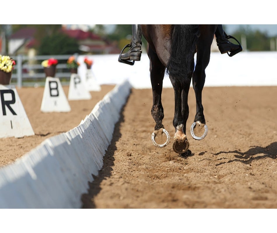 Treatment of equine parasites makes for a Healthy Horse