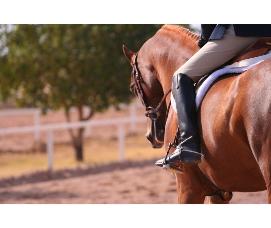 Abprazole: The Equine Ulcer Treatment 