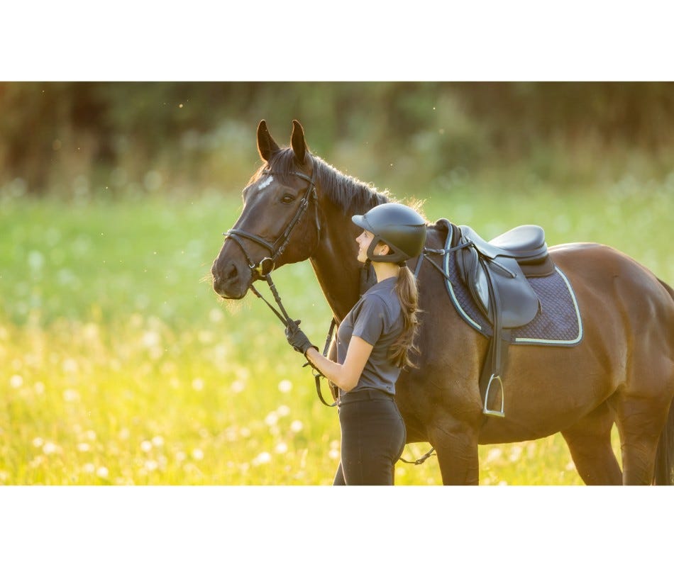 What are the most common equine worms?