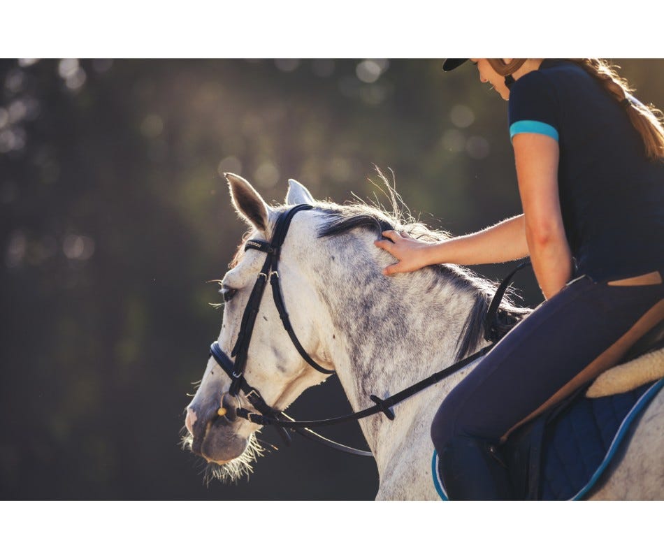 Do you know what causes diarrhea in horses?