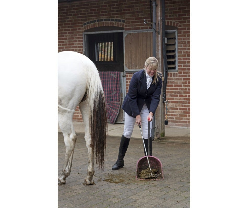 Equine Parasites -Red Worms found in Feces.