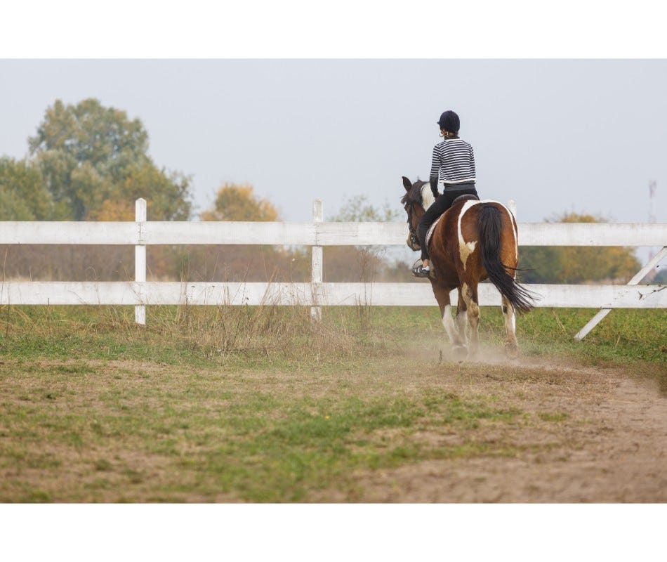 Is sand colic a risk? Here's an easy test you can do at home...