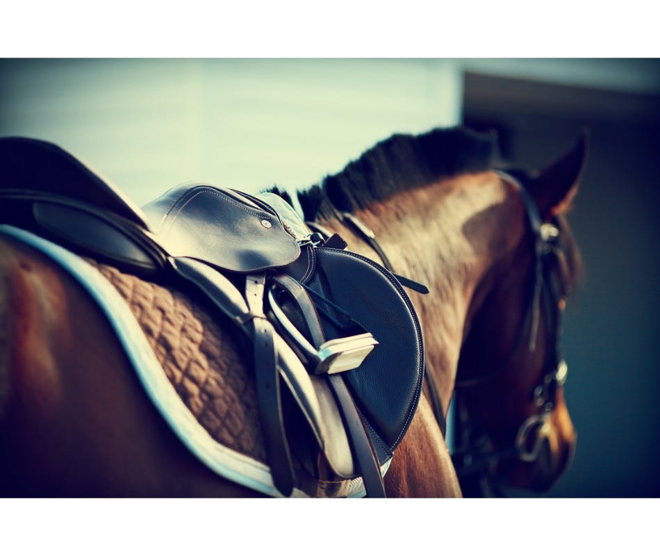 Suddenly a girthy horse can be sign of hindgut ulcers