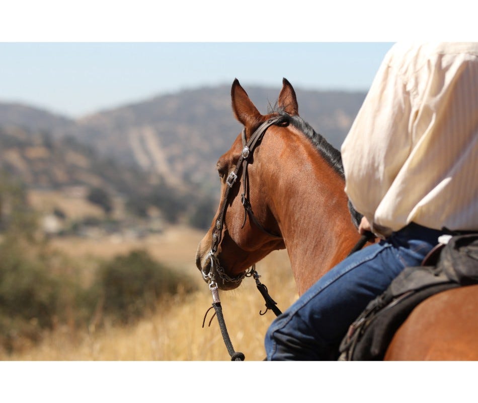 Naturally, horses are free-grazing animals.