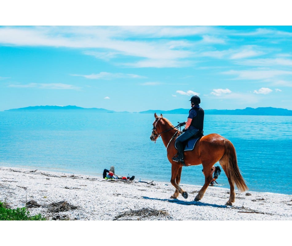 Fecal examination is the best way to diagnose ascarid infestations in horses.