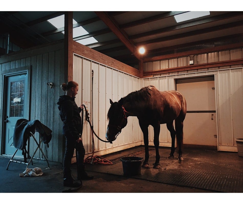 Horse deworming during the Hot Summer Months