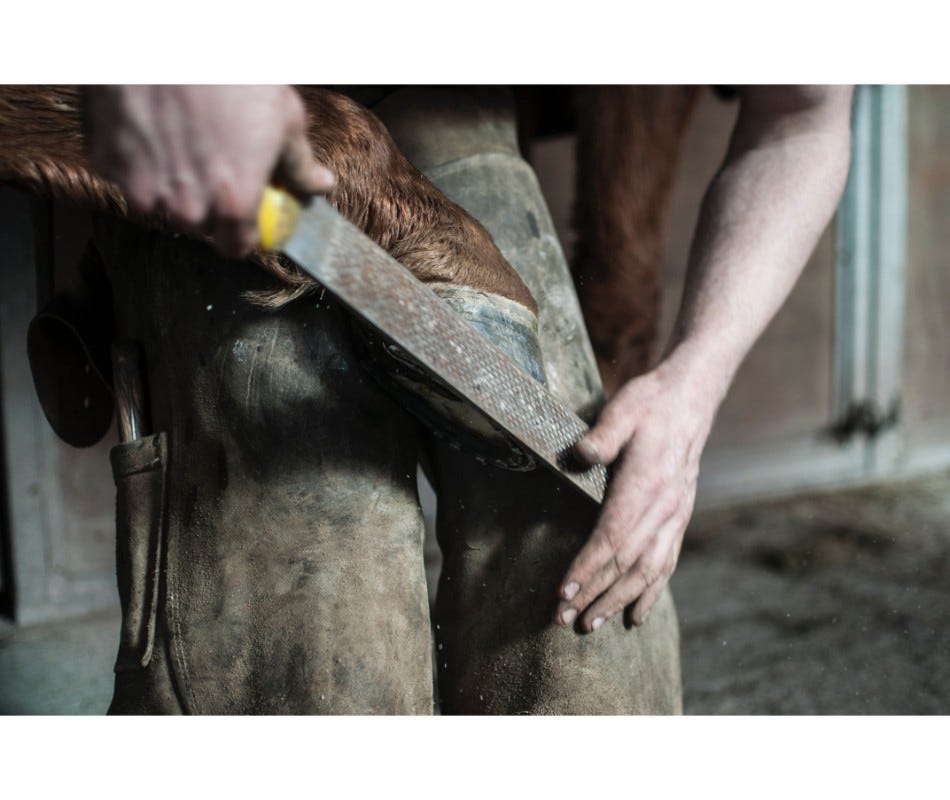 Why is Hoof Care Important?