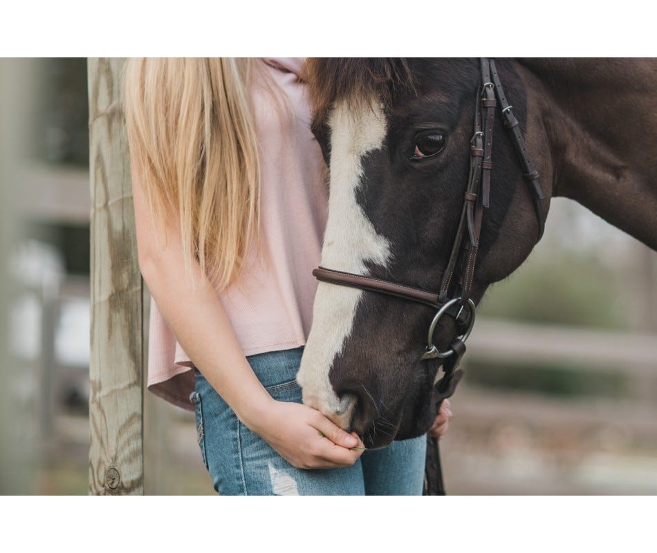 Understanding equine parasites can help to treat them.