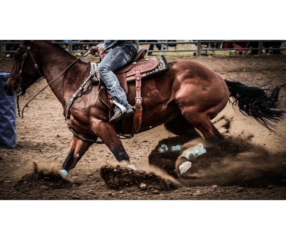 Barrel Racing Horse Health Concerns - Risks & Treatment