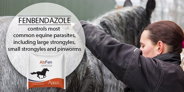 Abfen horse dewormer granules