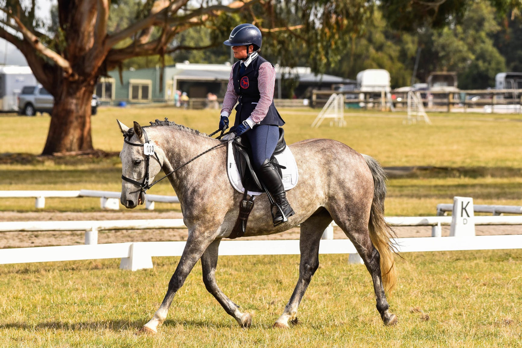 Should you ride your horse while they're recovering from ulcers?