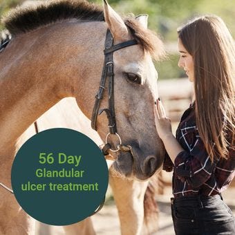  56 Day Glandular Ulcer Bundle Product Fact Sheet